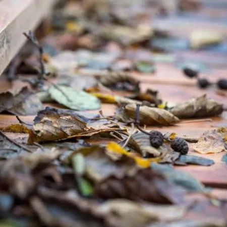 4 Person In Holbaek-by Traum * Holbæk