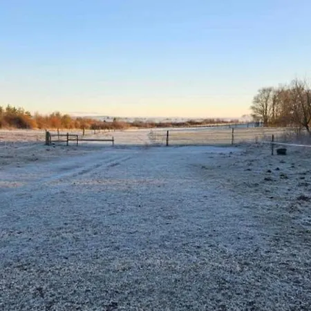 4 Person In Holbaek-by Traum