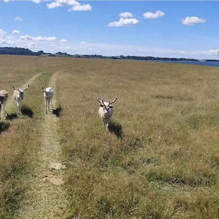 4 Person In Holbaek-by Traum *