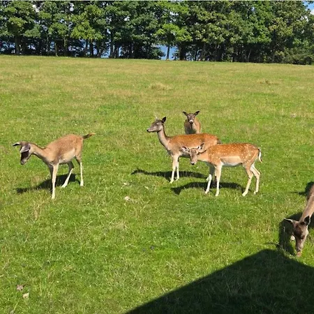 4 Person In Holbaek-by Traum Σπίτι διακοπών Holbæk