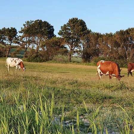 4 Person In Holbaek-by Traum