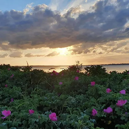 4 Person In Holbaek-by Traum